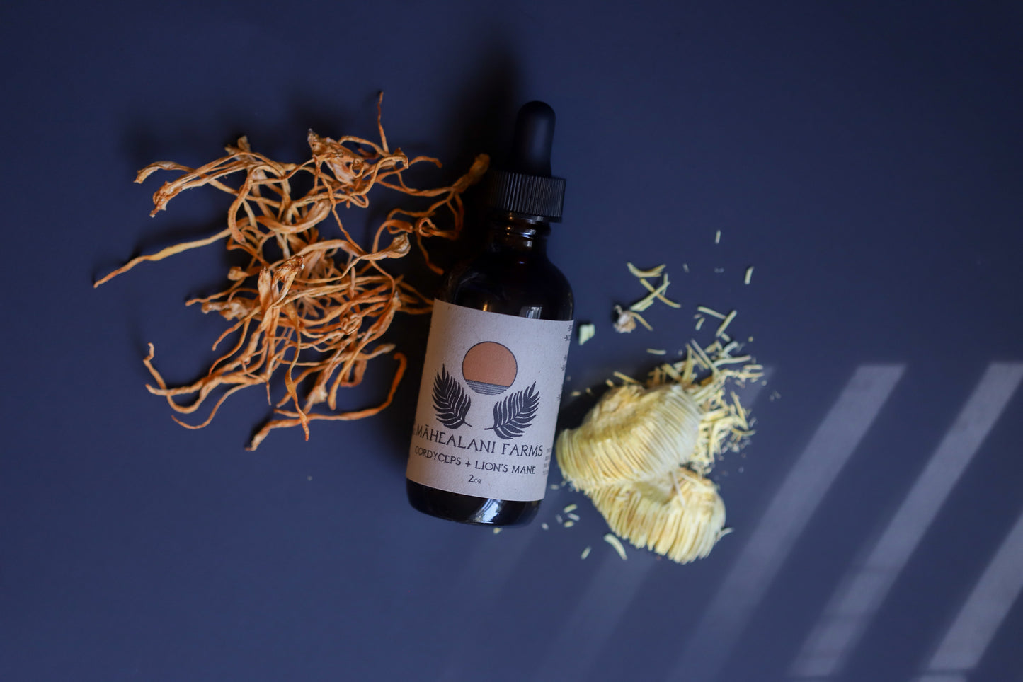 Cordyceps + Lion's Mane Tincture