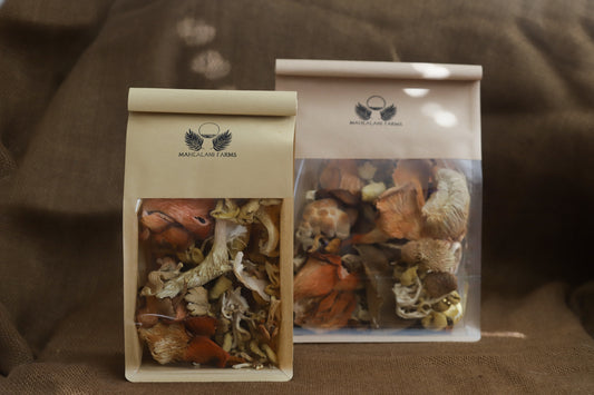 Dried Mushroom Mix